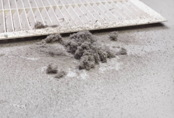 Best Duct Cleaning for Homes  in Meadows Place, TX