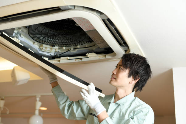 Best Air Vent Cleaning Services  in Meadows Place, TX