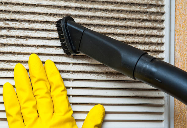 Best Air Duct Cleaning Near Me  in Meadows Place, TX